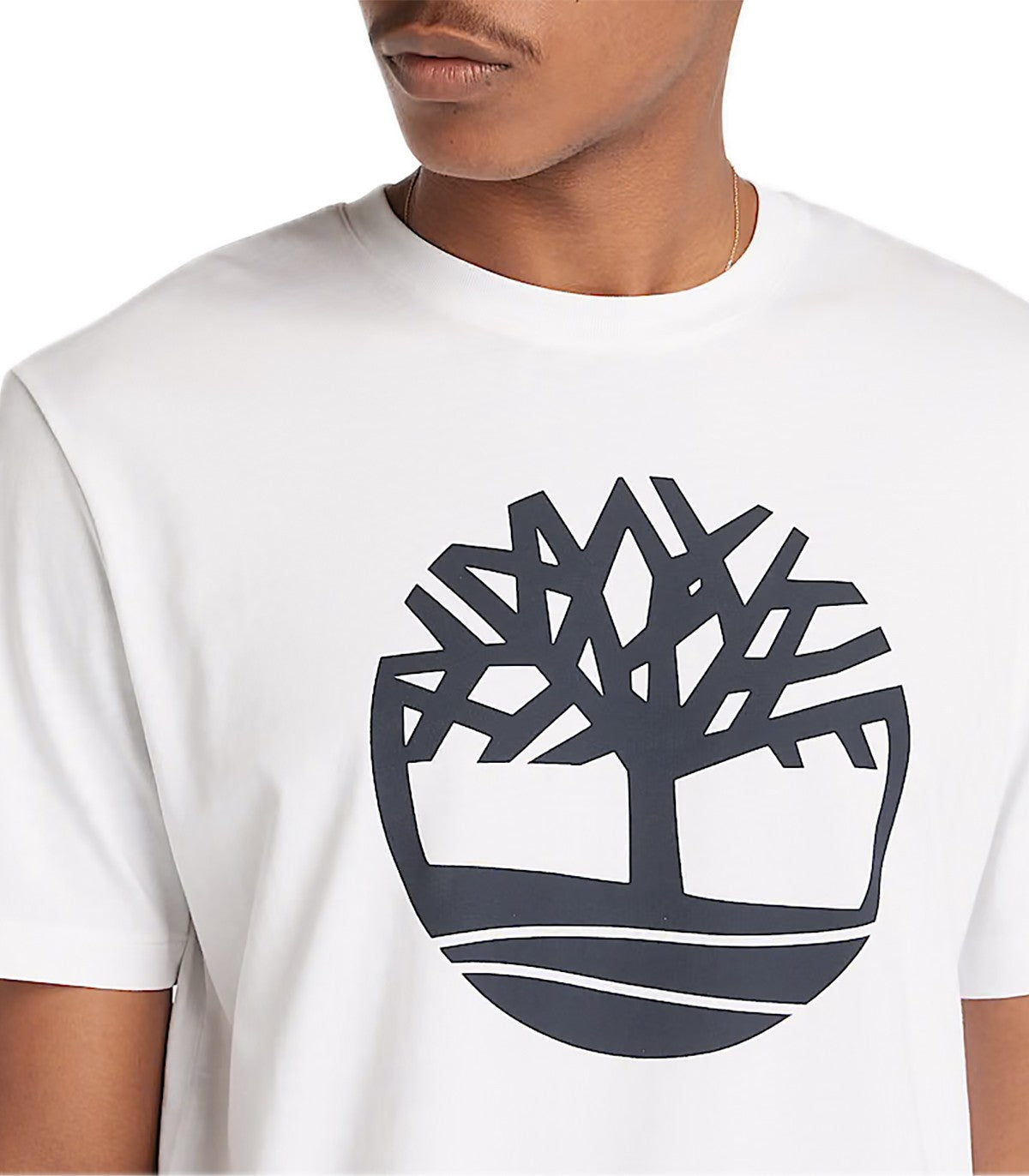 T-shirt Uomo Timberland