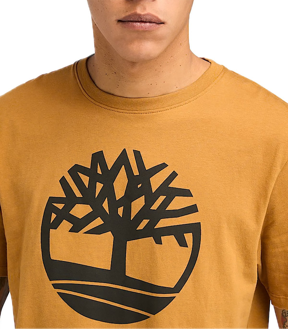 T-shirt Uomo Timberland