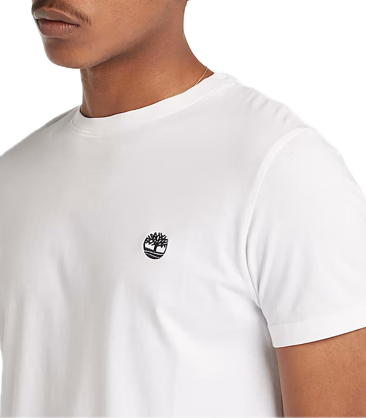 T-shirt Uomo Timberland Dunstan River