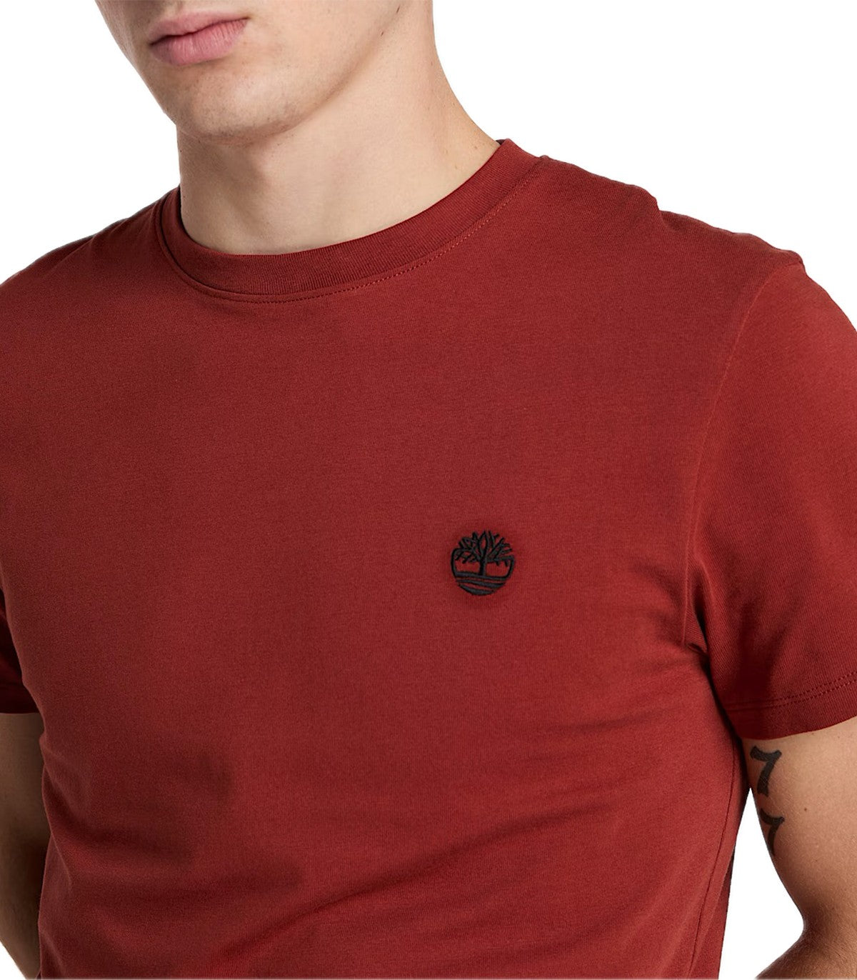 T-shirt Uomo Timberland Dunstan River