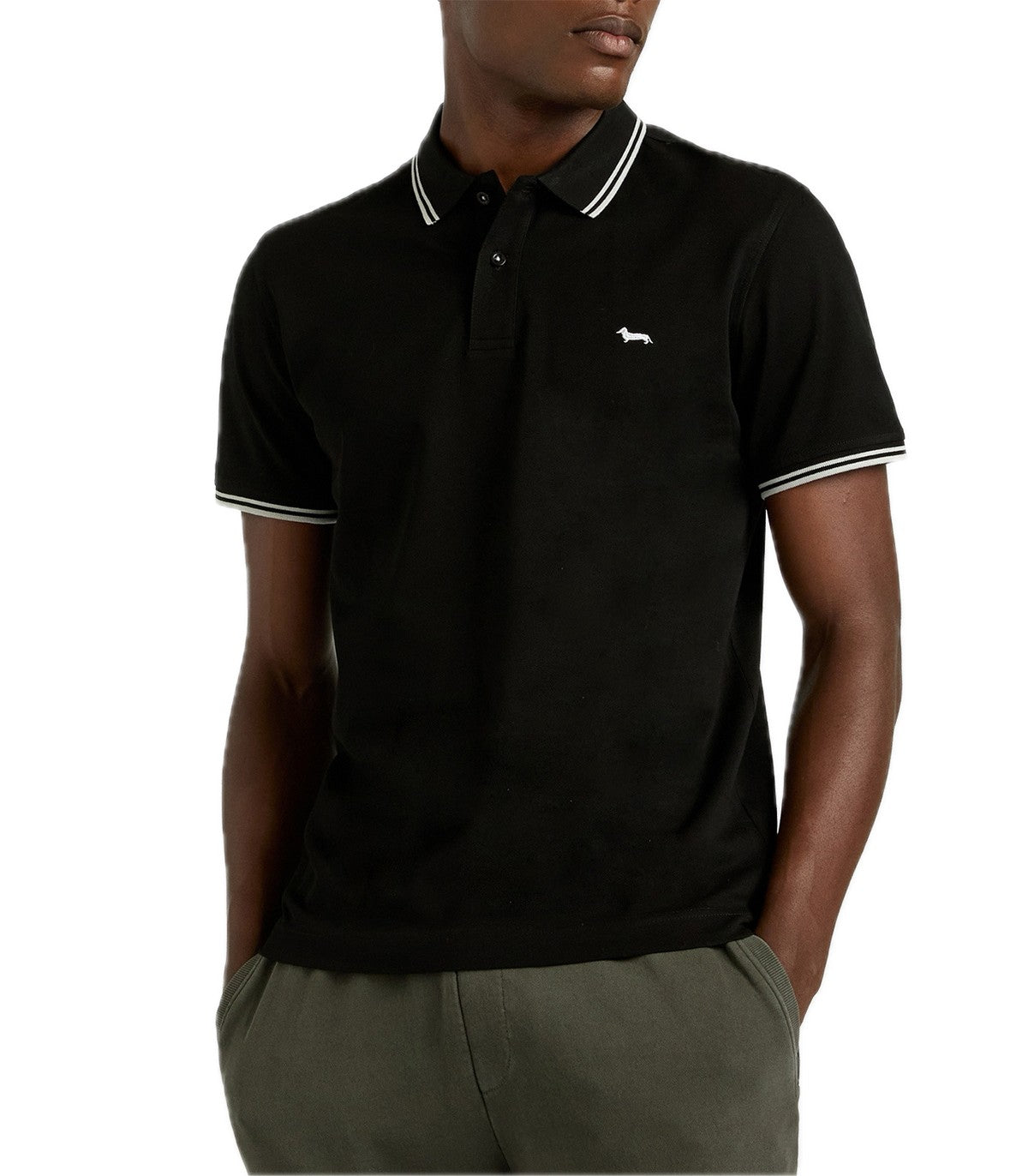 Polo Uomo Harmont Blaine