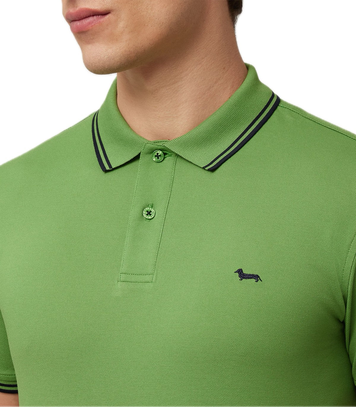 Polo Uomo Harmont Blaine