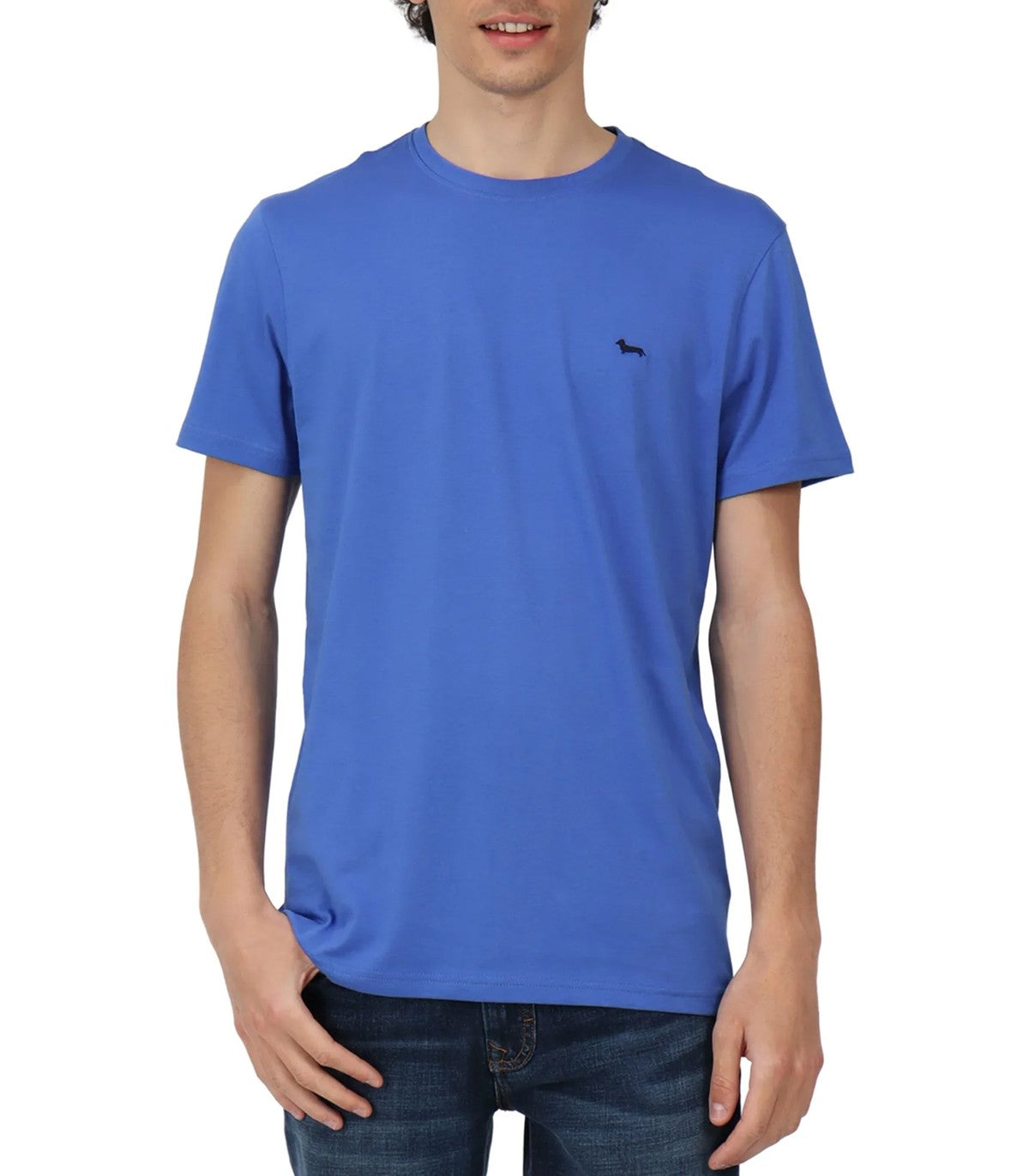 T-shirt Uomo Harmont Blaine extra taglie