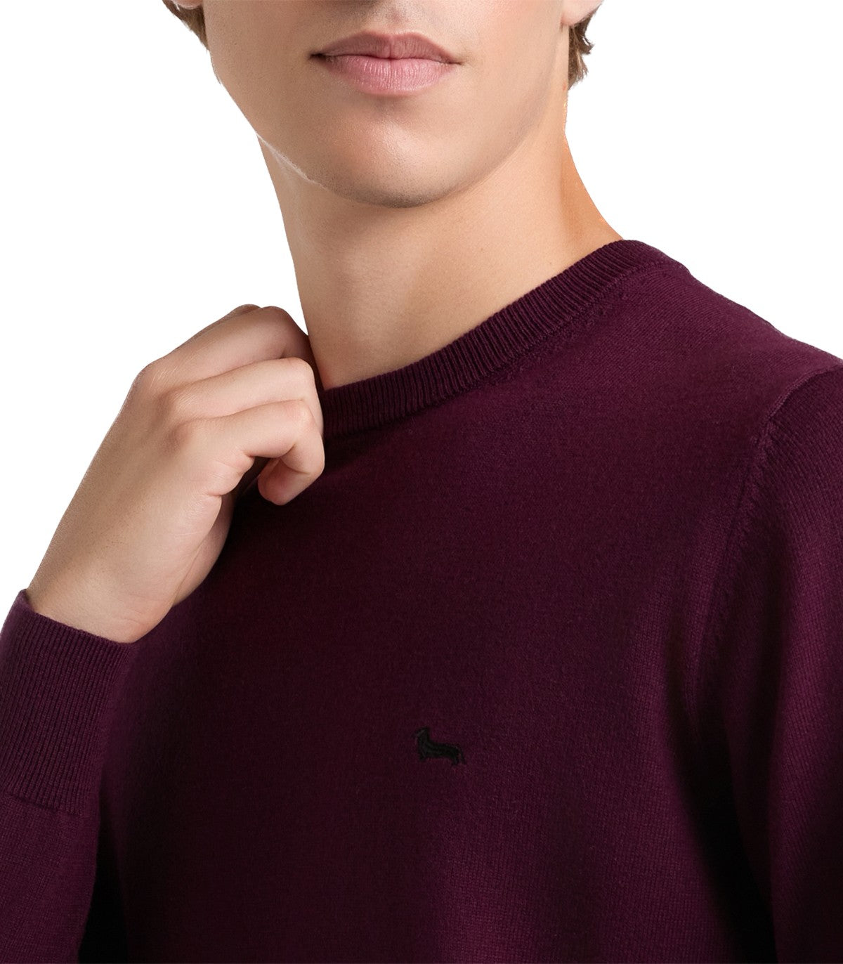 Maglione Uomo Harmont Blaine extra size