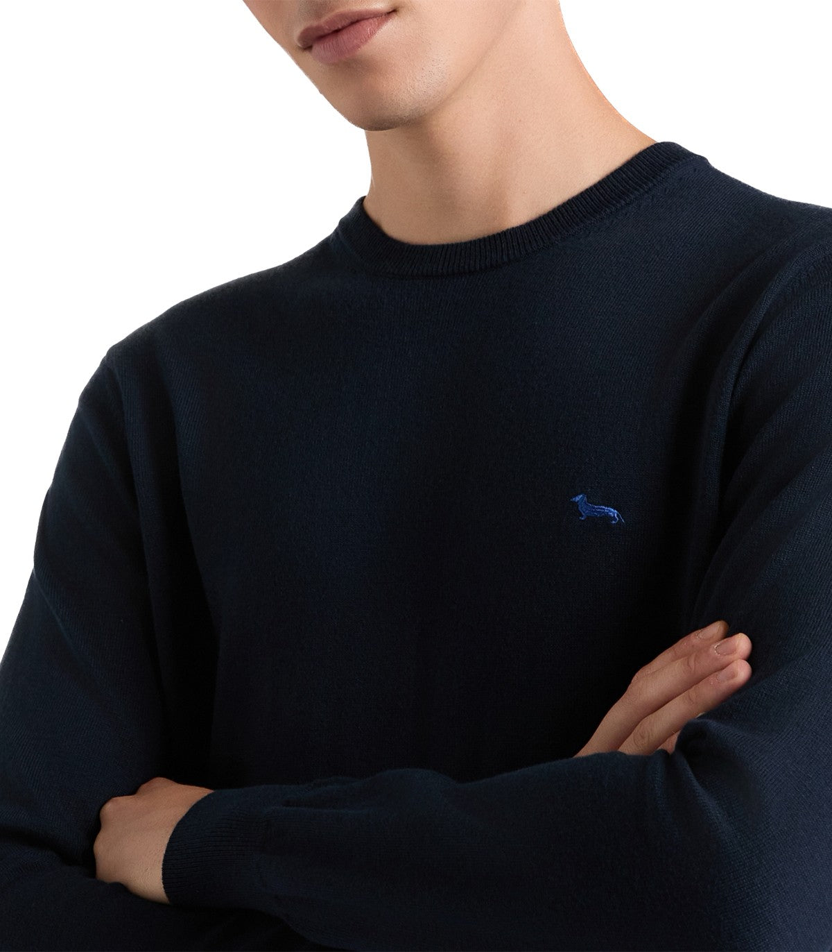 Maglione Uomo Harmont Blaine extra size