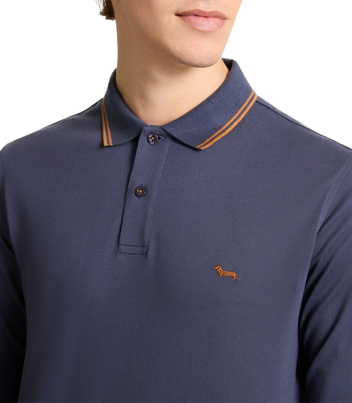 Polo Uomo Harmont Blaine